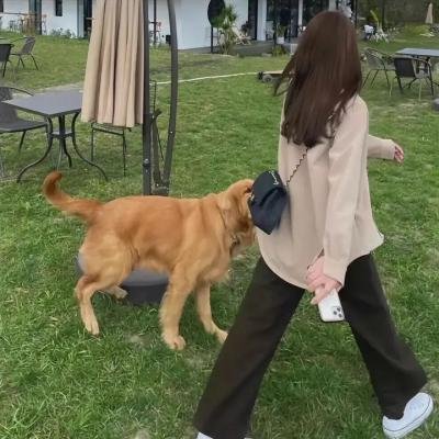 少年追梦情